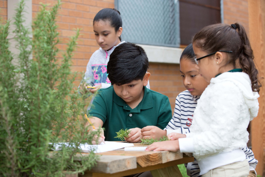 Students writing in notebook outdoors